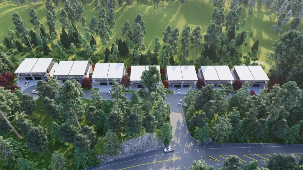 Back Morning_27 - Photo