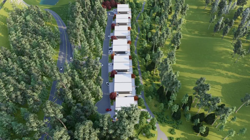 Back Morning_28 - Photo