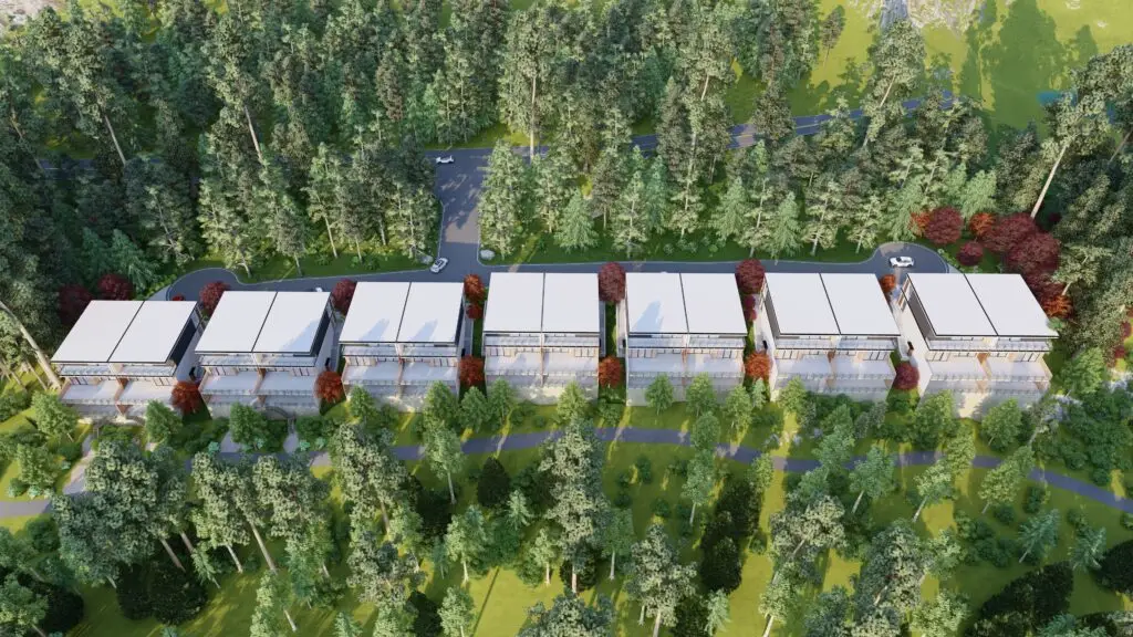 Back Morning_29 - Photo